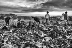 Survive among the garbage