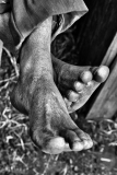 Feets on earth, madagascar 2014