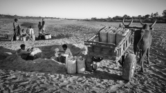 Water transport