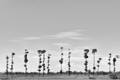 Horizon earth, madagascar 2018