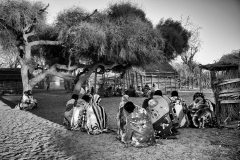 Madagascar 2019, les hommes et les arbres.