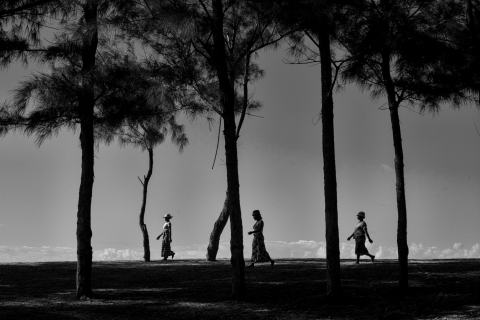 Madagascar 2017, men and trees.