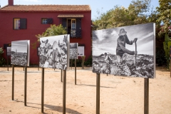 exposition Fondation Dapper à Gorée