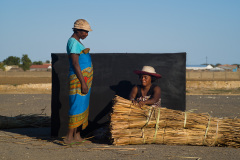 Tableaux ambulants, Tuléar Madagascar 2019
