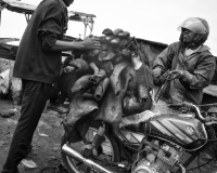 the slaughterhouse "Boday" in Accra