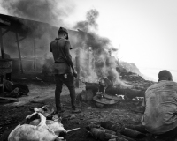 the slaughterhouse "Boday" in Accra