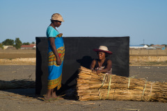 Traveling paintings, Tulear Madagascar 2019